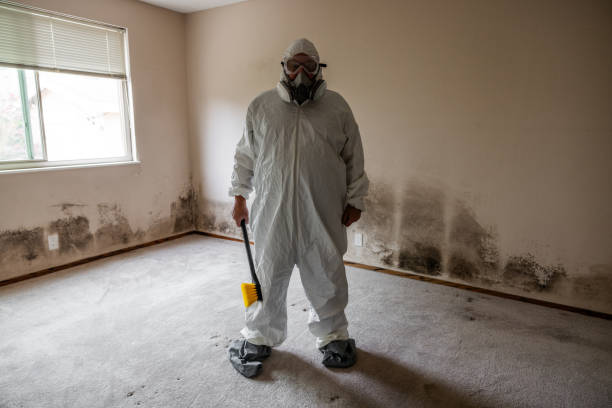 Mold Removal Process in Cedar Glen West, NJ